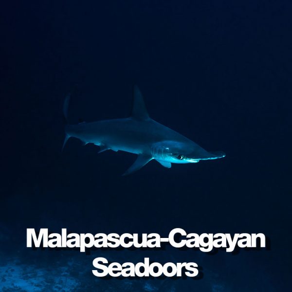 produit-malapascua-cagayan-